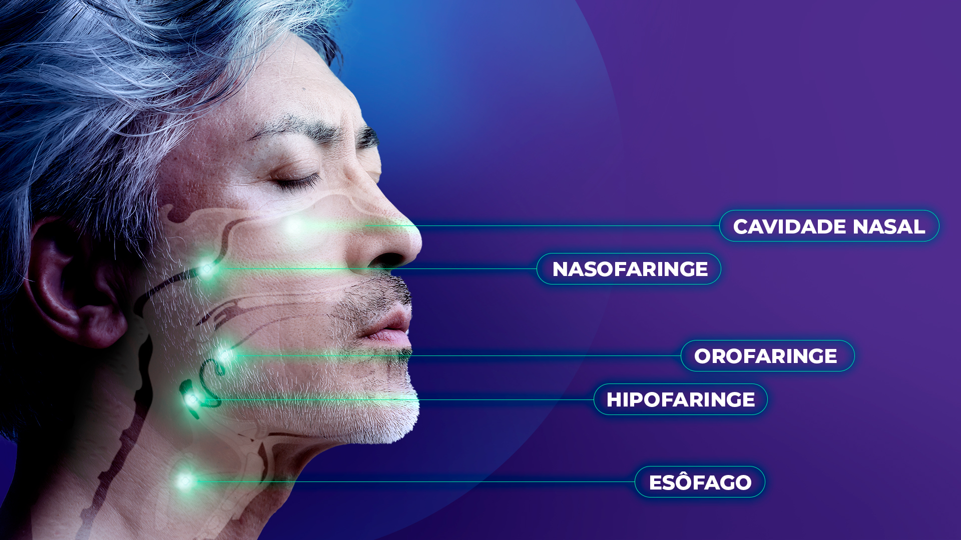 Perfil lateral do rosto de um homem idoso com um diagrama anatômico transparente sobreposto mostrando cavidade nasal, nasofaringe, orofaringe, hipofaringe e esôfago